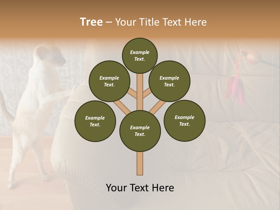 A Cat Standing On Its Hind Legs In Front Of A Couch PowerPoint Template