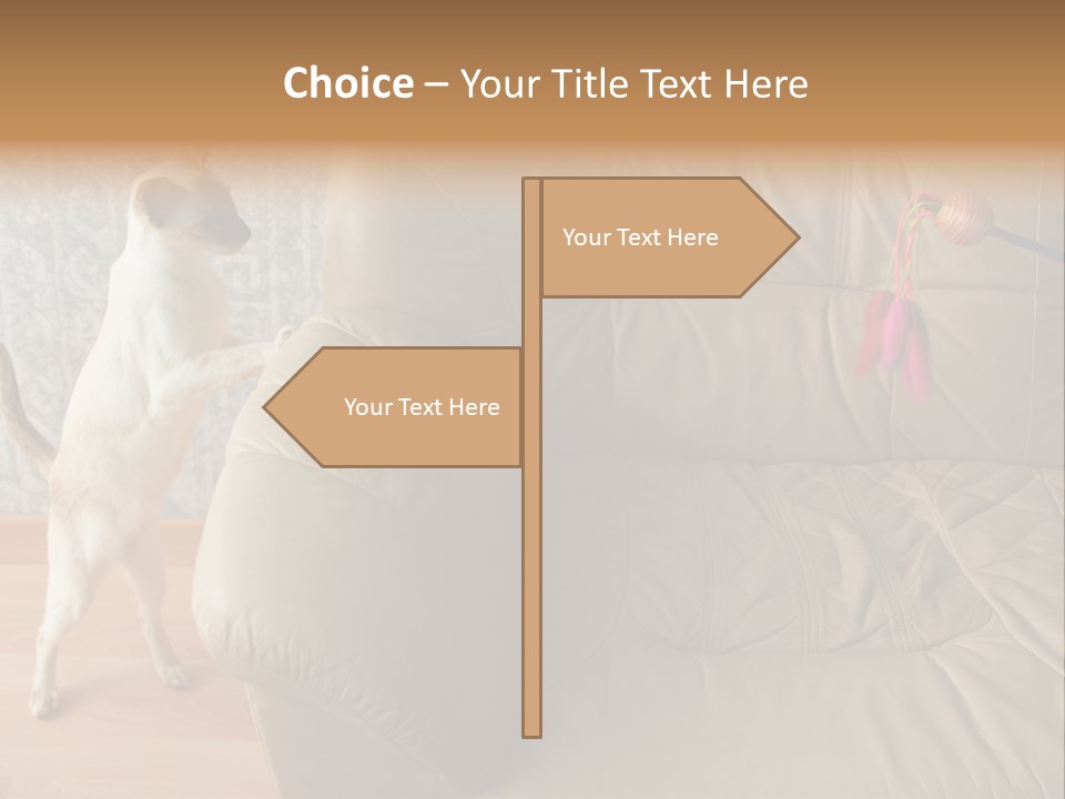 A Cat Standing On Its Hind Legs In Front Of A Couch PowerPoint Template