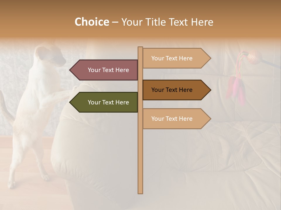 A Cat Standing On Its Hind Legs In Front Of A Couch PowerPoint Template