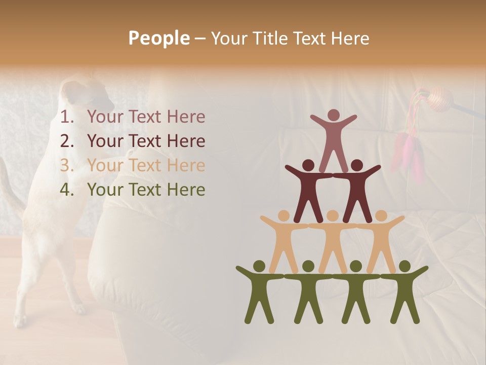 A Cat Standing On Its Hind Legs In Front Of A Couch PowerPoint Template