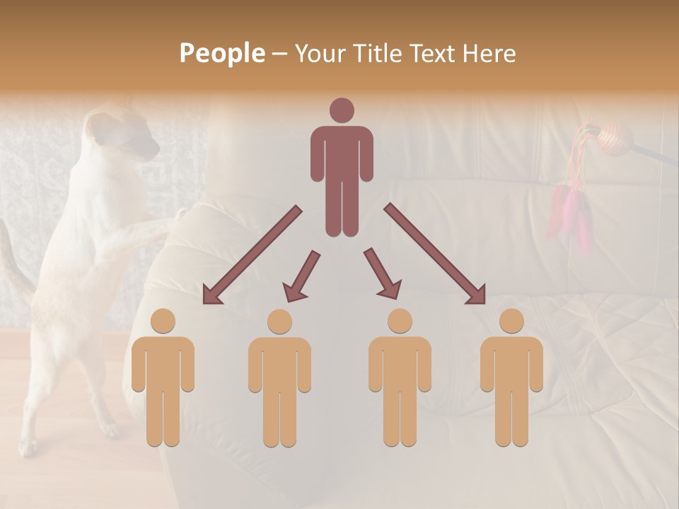 A Cat Standing On Its Hind Legs In Front Of A Couch PowerPoint Template