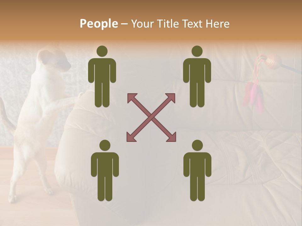 A Cat Standing On Its Hind Legs In Front Of A Couch PowerPoint Template