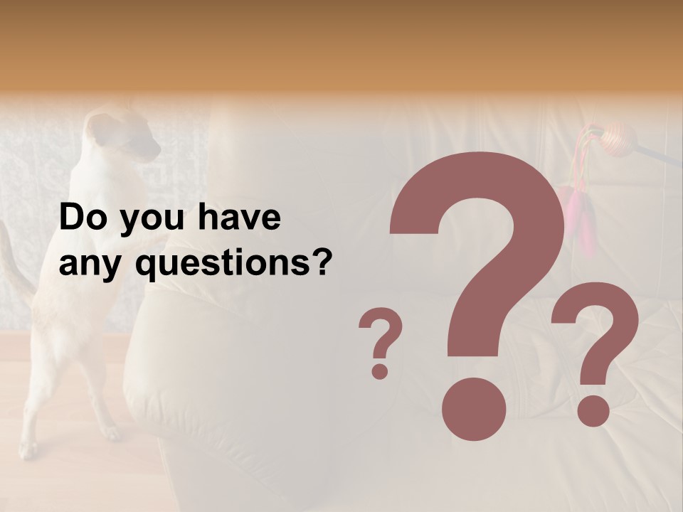 A Cat Standing On Its Hind Legs In Front Of A Couch PowerPoint Template