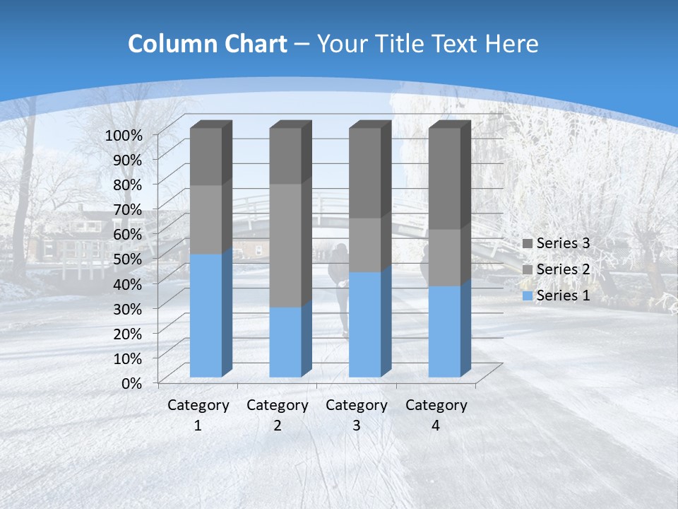 Sport Skater View PowerPoint Template