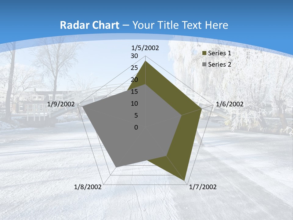 Sport Skater View PowerPoint Template