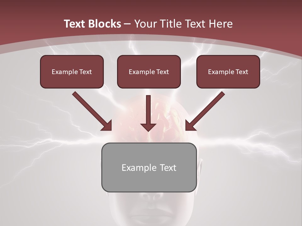 Hippocampus Head Perception PowerPoint Template