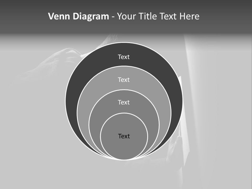 Lemon Snack Coffee PowerPoint Template