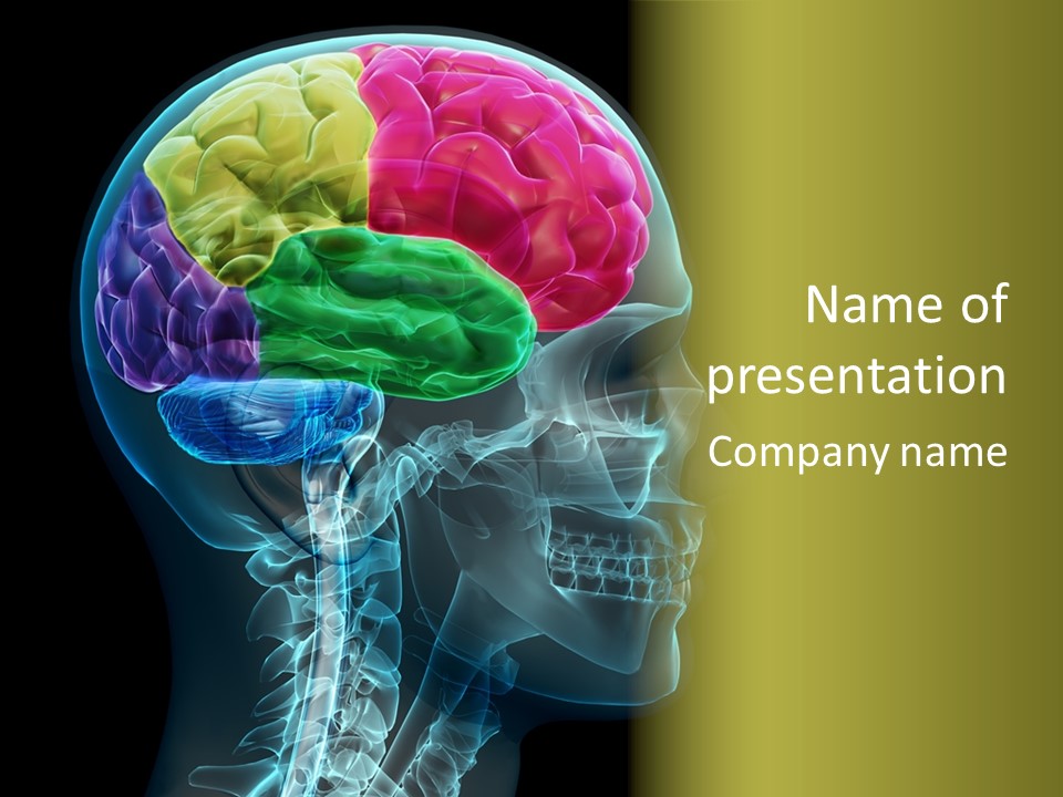 Intellect Medical Skull PowerPoint Template