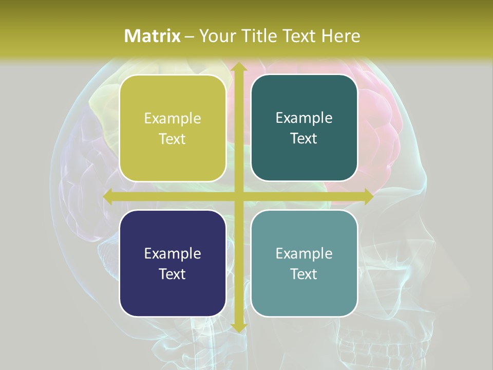 Intellect Medical Skull PowerPoint Template
