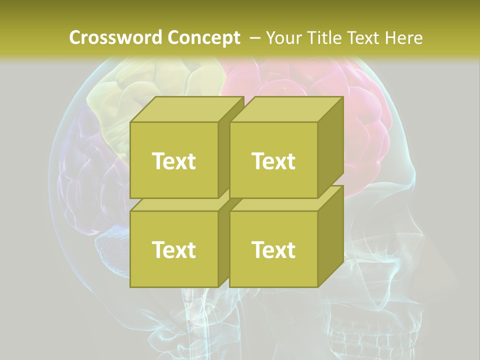 Intellect Medical Skull PowerPoint Template