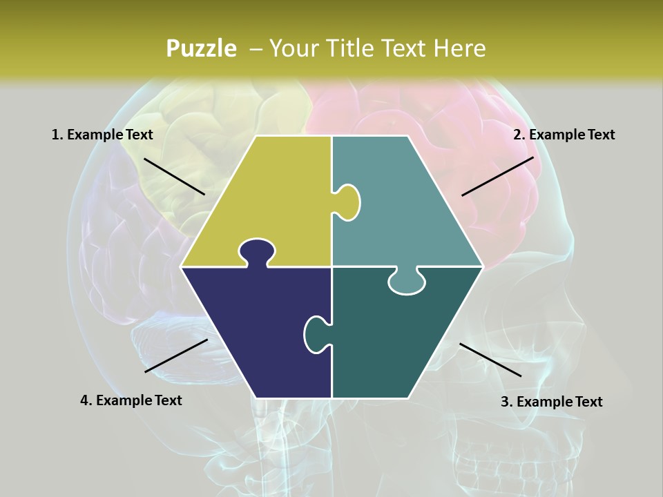 Intellect Medical Skull PowerPoint Template