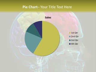Intellect Medical Skull PowerPoint Template