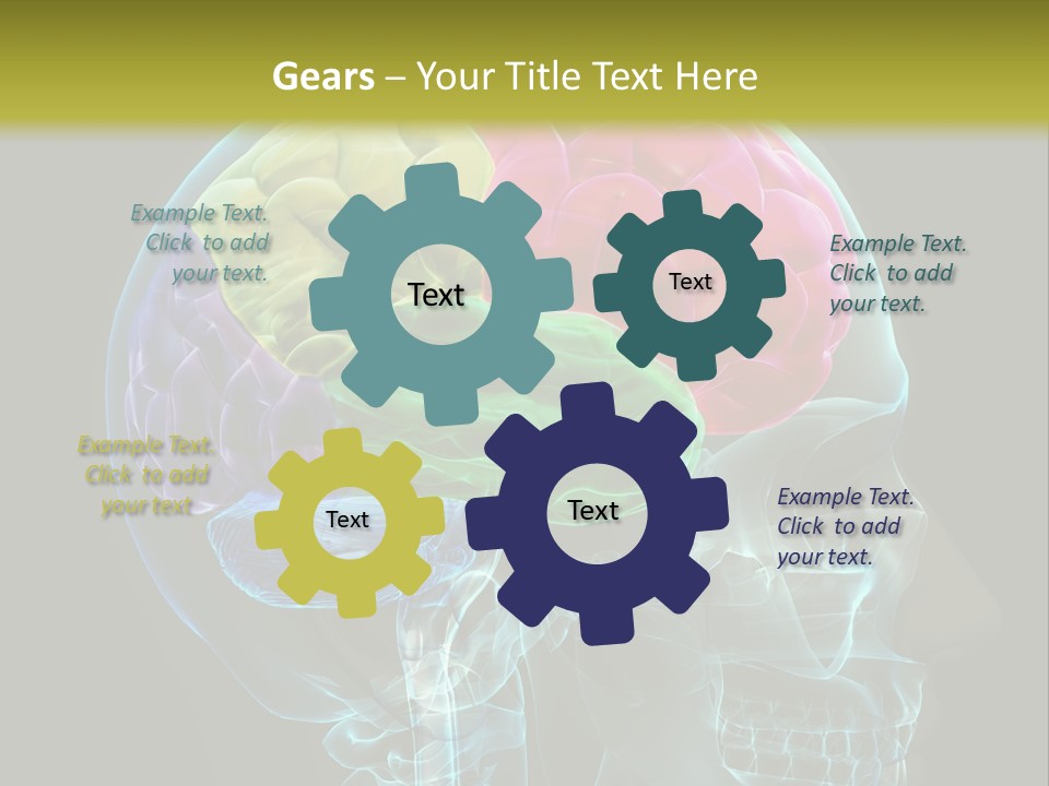 Intellect Medical Skull PowerPoint Template