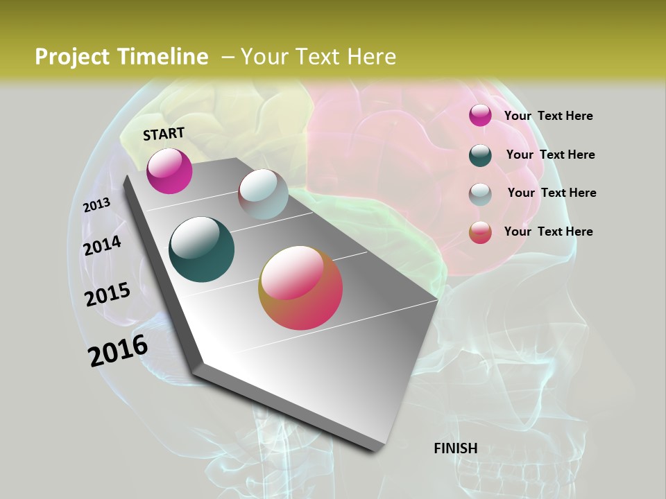Intellect Medical Skull PowerPoint Template