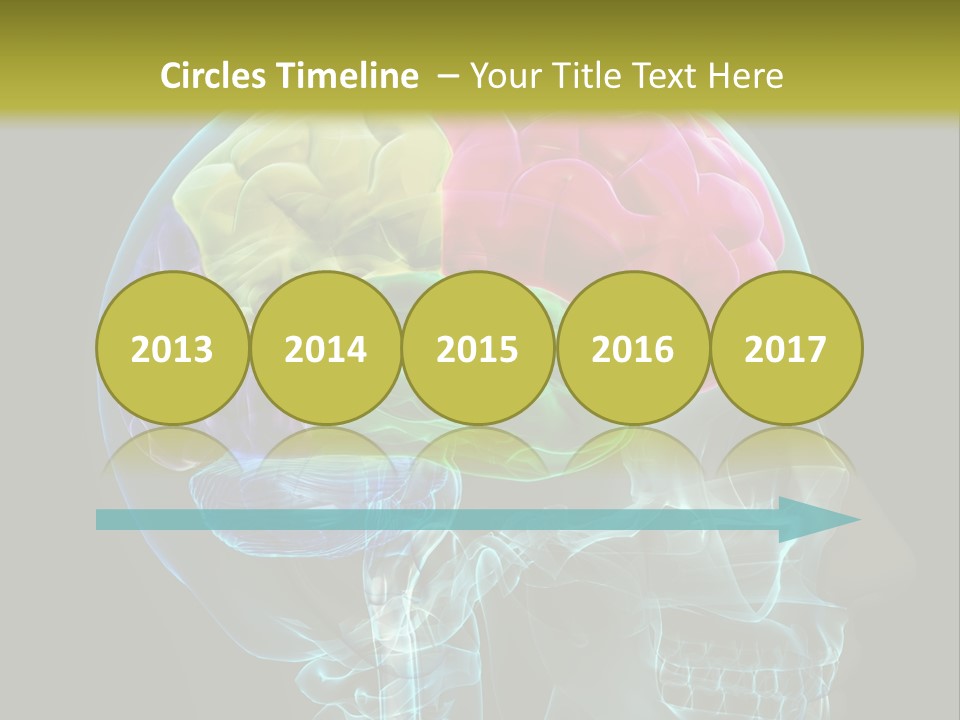 Intellect Medical Skull PowerPoint Template