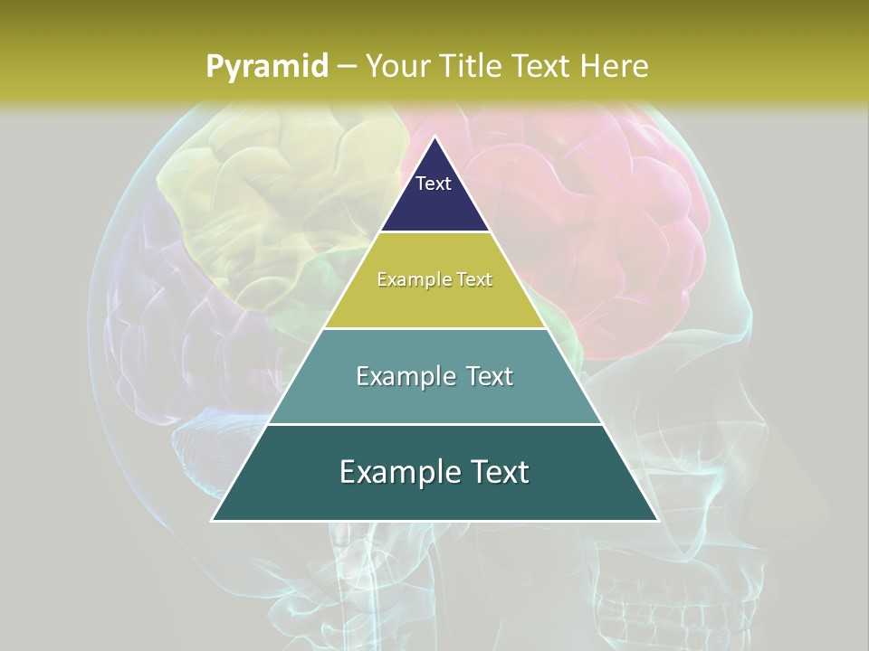 Intellect Medical Skull PowerPoint Template