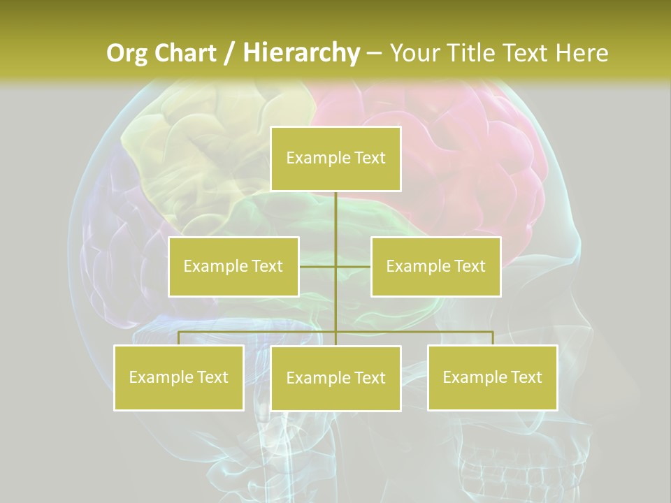 Intellect Medical Skull PowerPoint Template