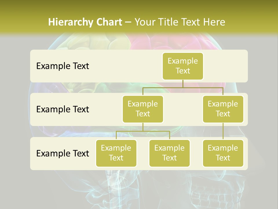 Intellect Medical Skull PowerPoint Template