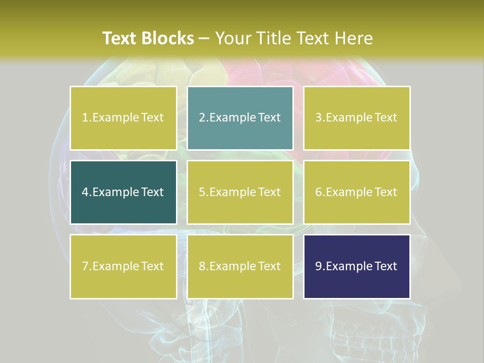Intellect Medical Skull PowerPoint Template