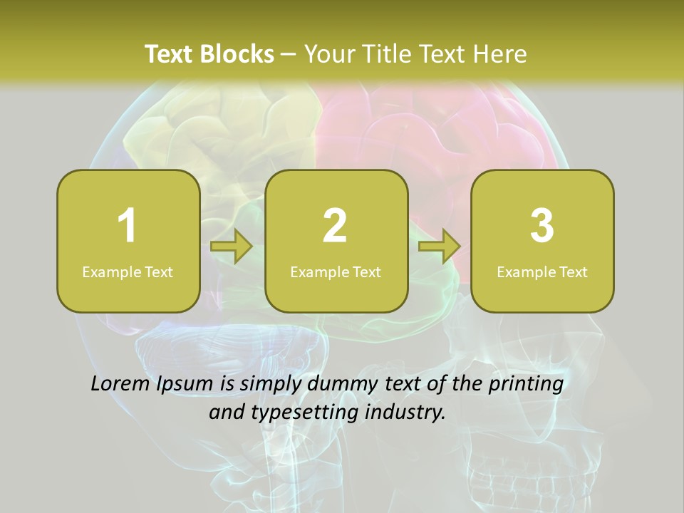 Intellect Medical Skull PowerPoint Template