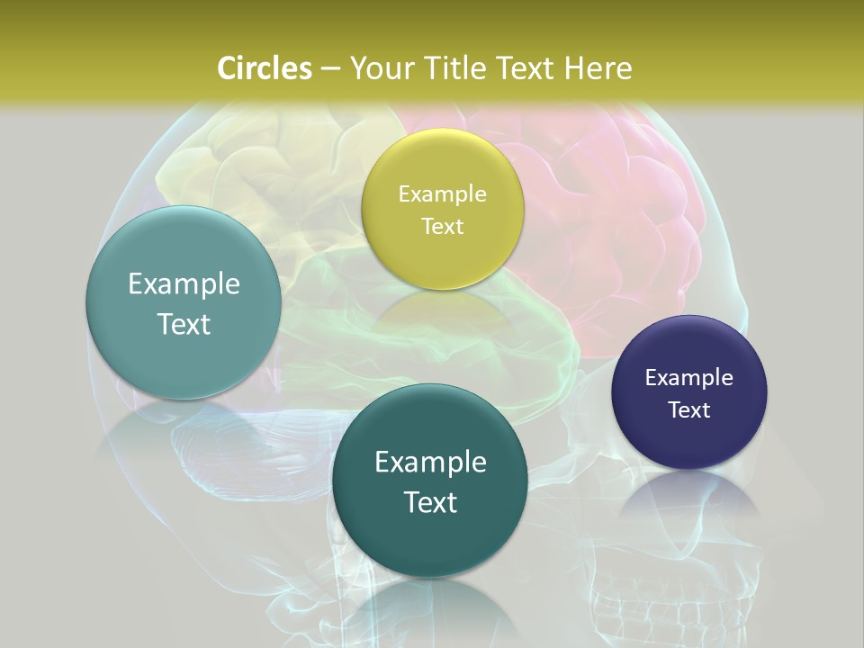 Intellect Medical Skull PowerPoint Template