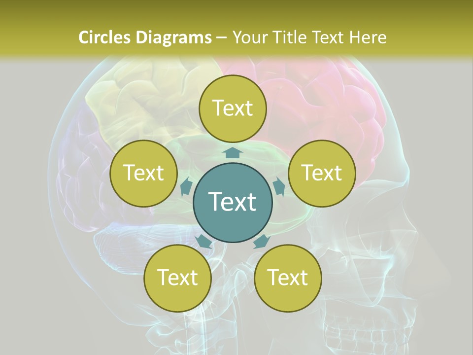 Intellect Medical Skull PowerPoint Template