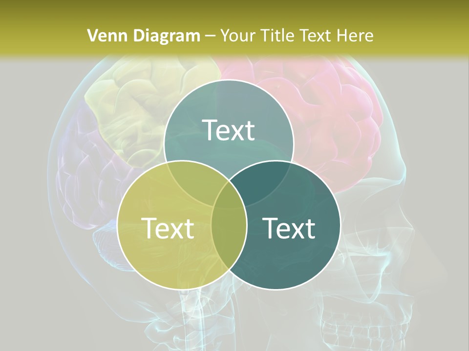 Intellect Medical Skull PowerPoint Template