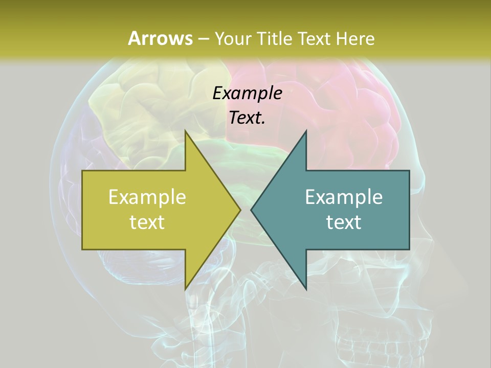 Intellect Medical Skull PowerPoint Template