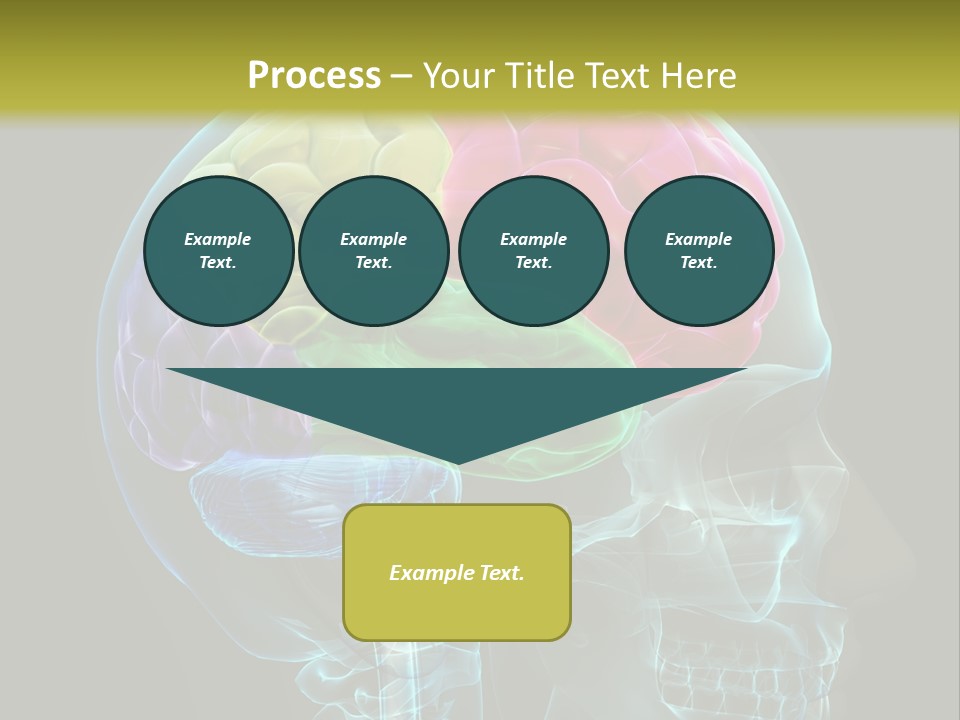 Intellect Medical Skull PowerPoint Template