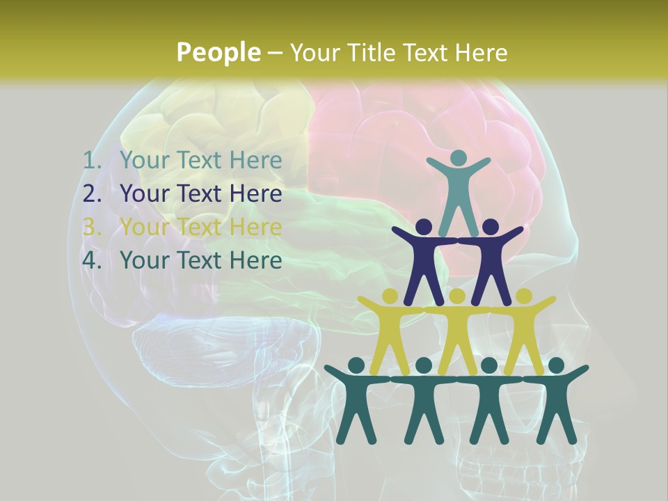 Intellect Medical Skull PowerPoint Template