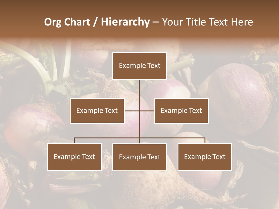 Grow Raw Fibrous PowerPoint Template