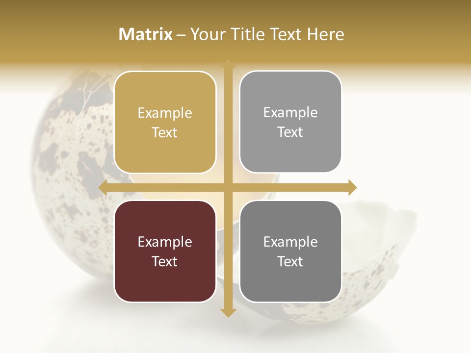 Studio Shot Food Quail Egg PowerPoint Template