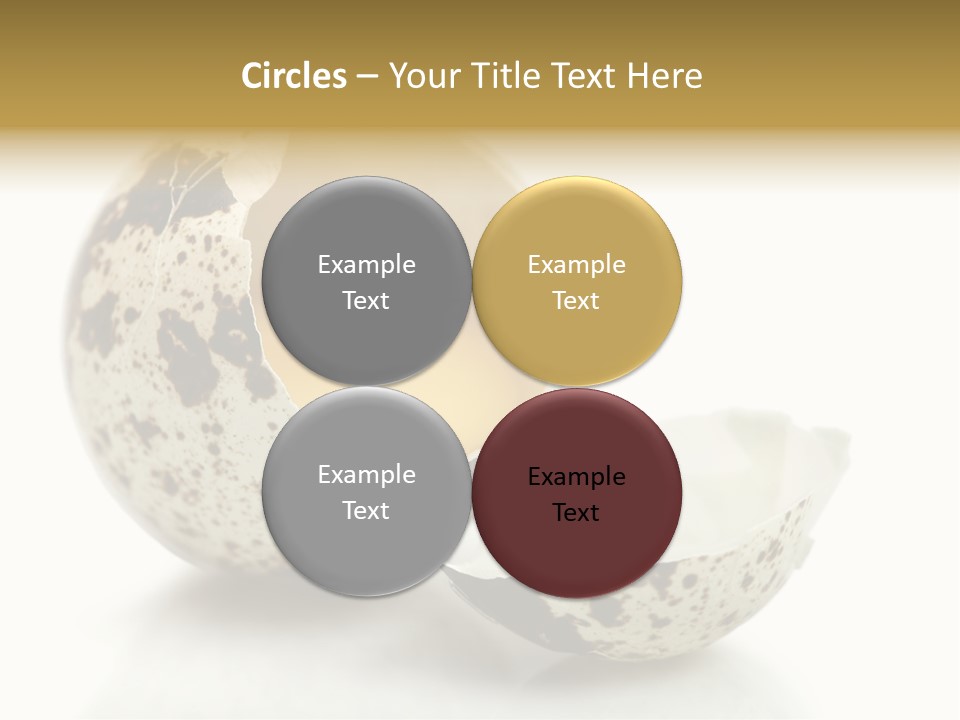 Studio Shot Food Quail Egg PowerPoint Template