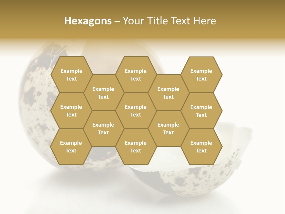 Studio Shot Food Quail Egg PowerPoint Template