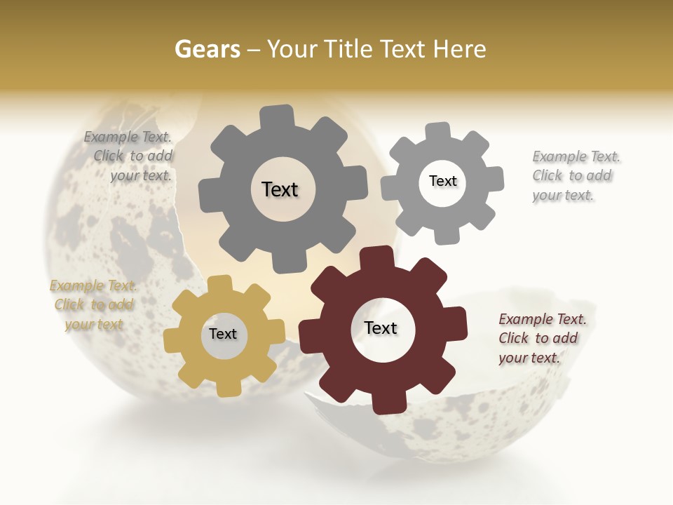 Studio Shot Food Quail Egg PowerPoint Template