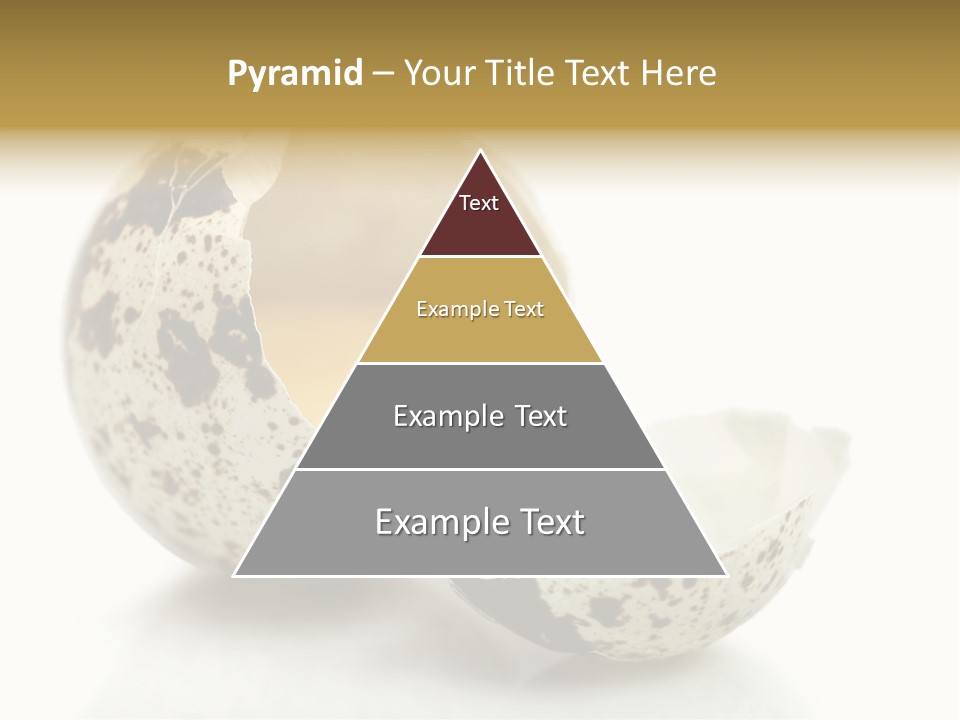 Studio Shot Food Quail Egg PowerPoint Template