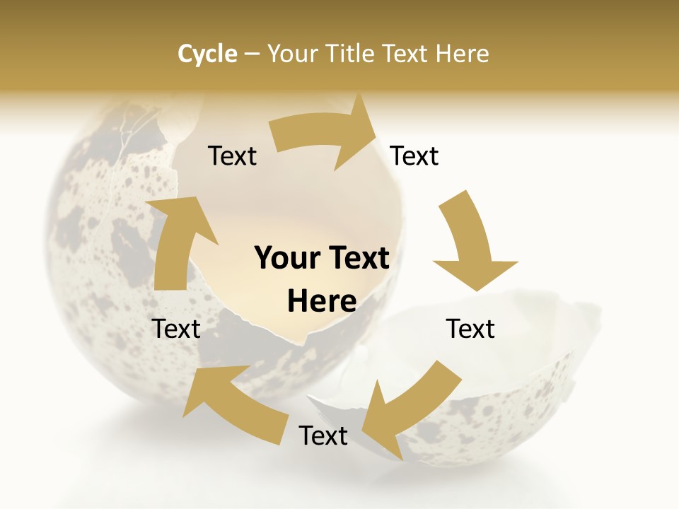 Studio Shot Food Quail Egg PowerPoint Template