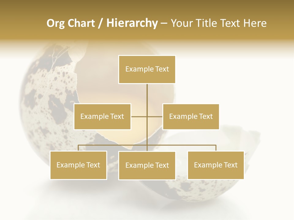 Studio Shot Food Quail Egg PowerPoint Template