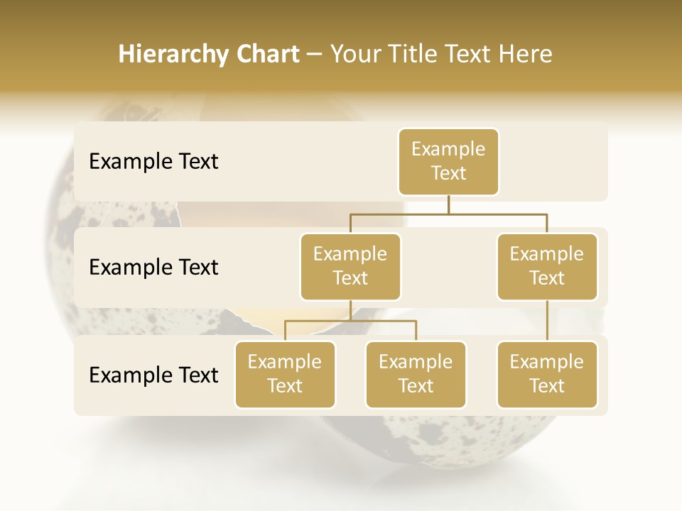 Studio Shot Food Quail Egg PowerPoint Template