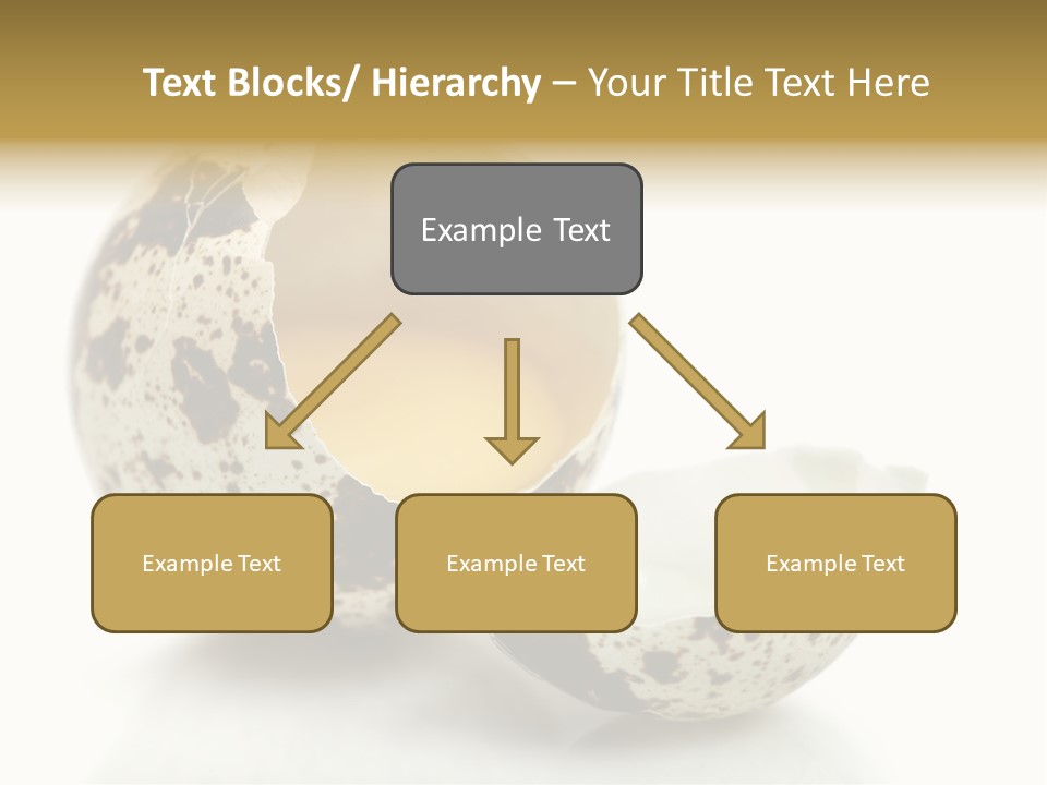 Studio Shot Food Quail Egg PowerPoint Template