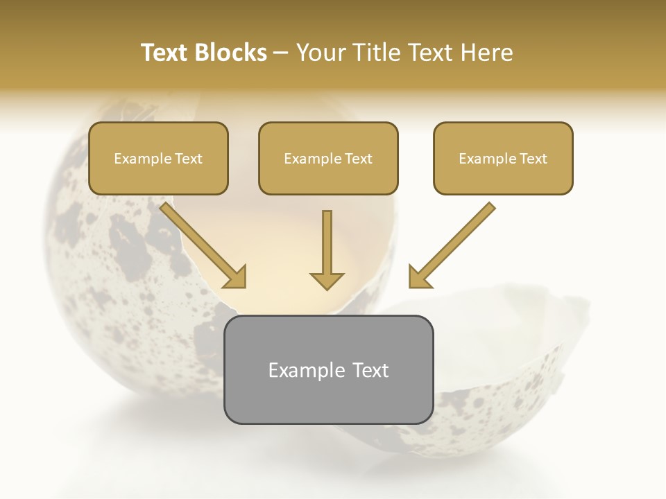 Studio Shot Food Quail Egg PowerPoint Template