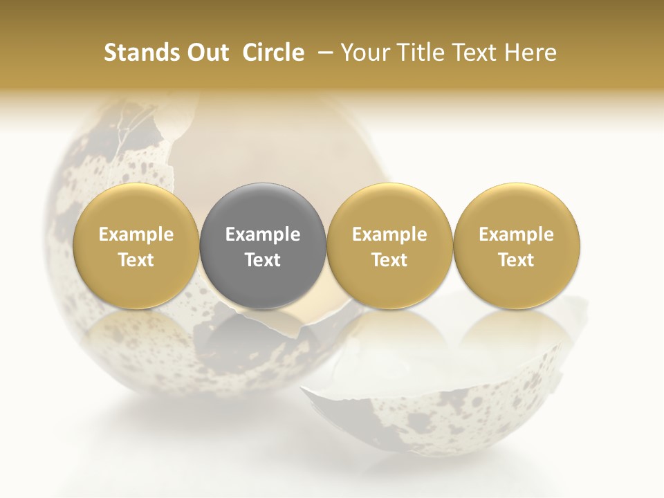 Studio Shot Food Quail Egg PowerPoint Template