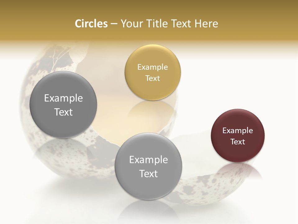 Studio Shot Food Quail Egg PowerPoint Template