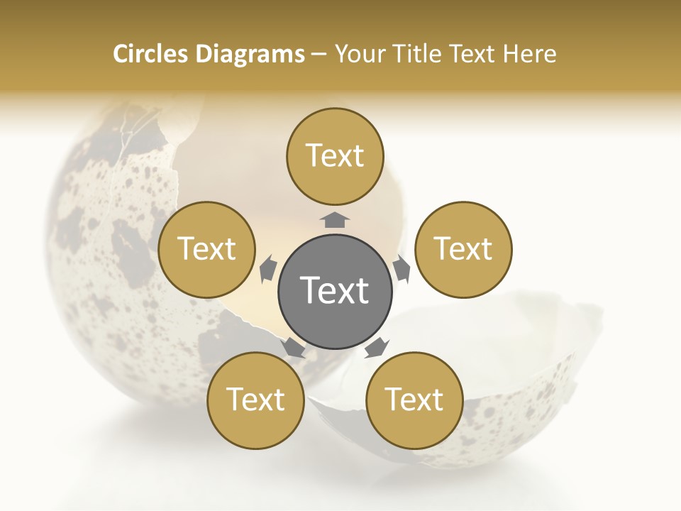 Studio Shot Food Quail Egg PowerPoint Template