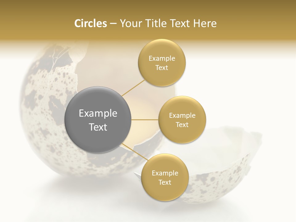 Studio Shot Food Quail Egg PowerPoint Template