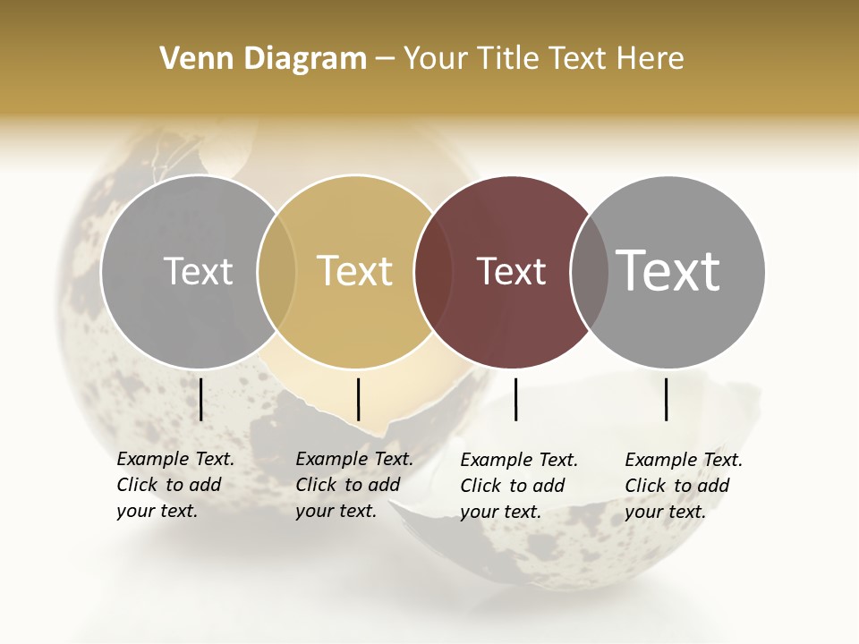 Studio Shot Food Quail Egg PowerPoint Template