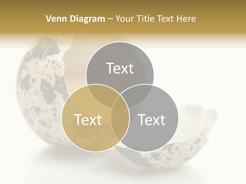 Studio Shot Food Quail Egg PowerPoint Template