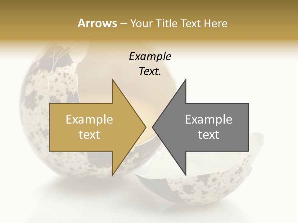 Studio Shot Food Quail Egg PowerPoint Template