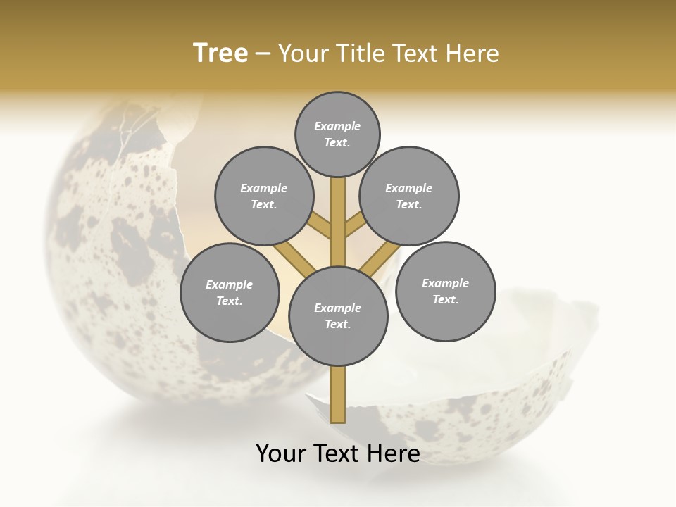 Studio Shot Food Quail Egg PowerPoint Template
