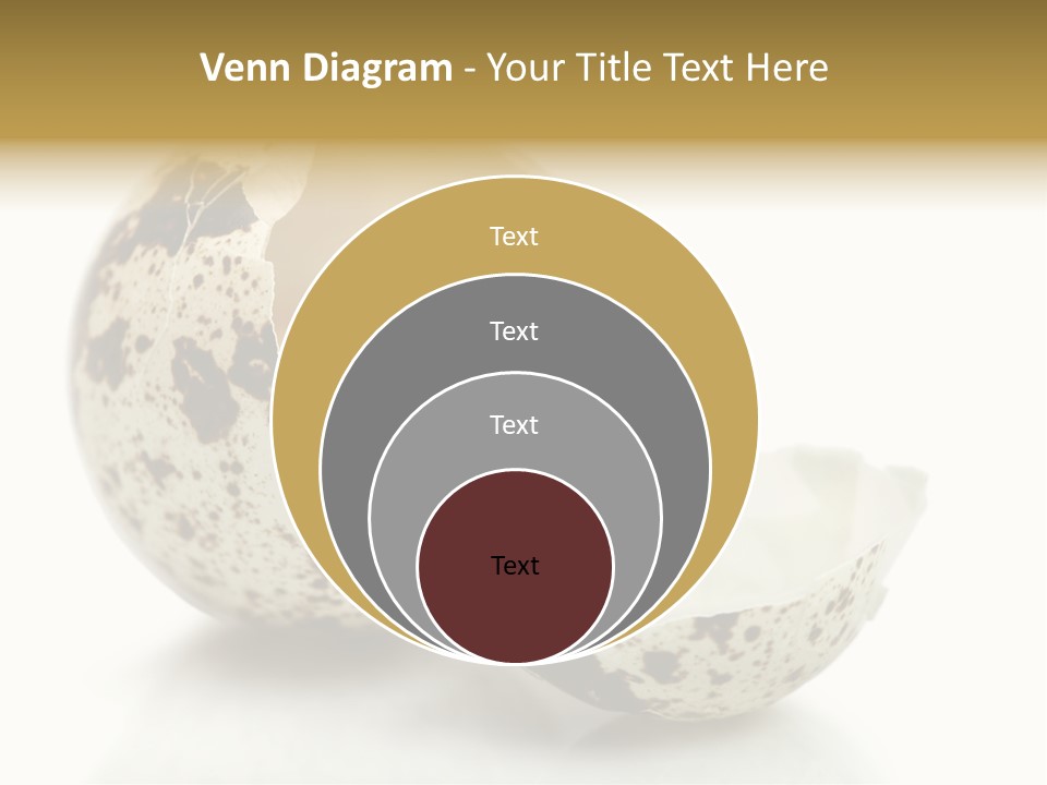 Studio Shot Food Quail Egg PowerPoint Template